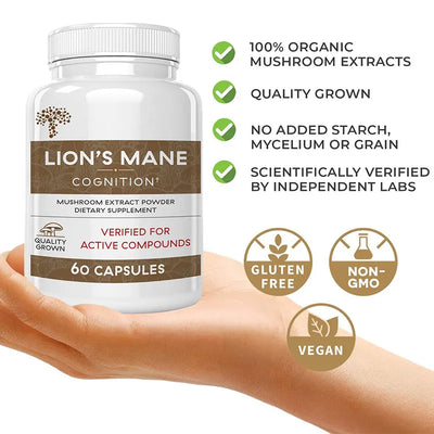 Lion Mane Mushroom Dietary Supplement Health Food